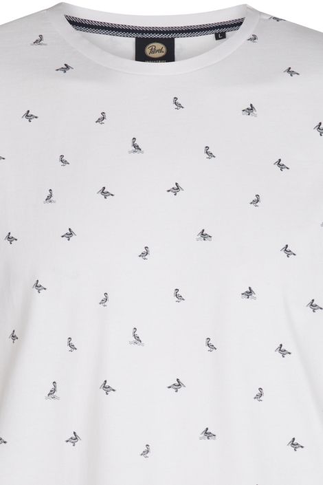 Petrol Industries men t-shirt ss aop